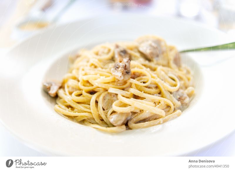 Spaghetti mit Champignons Pilz Spätzle Käse Teller Parmesan Lebensmittel Mahlzeit lecker Italienisch Küche Saucen Nudeln mit Pilzen Gesundheit Speise mediterran