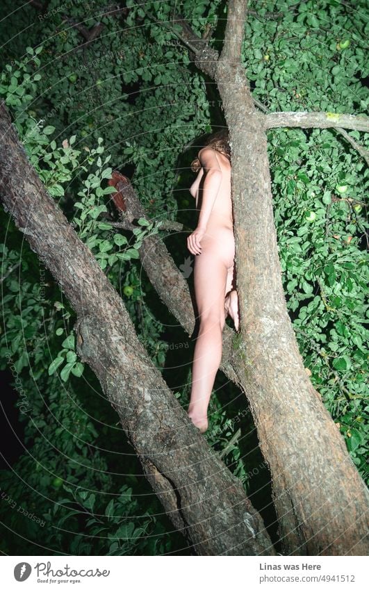 So sieht es aus, wenn man in einem Hausbaum lebt. Wenn du ein wunderschönes und nacktes Mädchen bist, das in einem Baum lebt. Den wilden Sommer genießen und Freigeist-Vibes verbreiten.