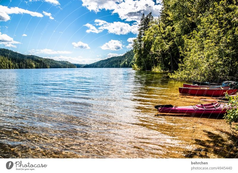 wassergeschichten Ausflug Clearwater Lake Wasseroberfläche Boot Himmel Ferien & Urlaub & Reisen Berge u. Gebirge Tourismus Wald Bootsfahrt Ferne Farbfoto Kanada