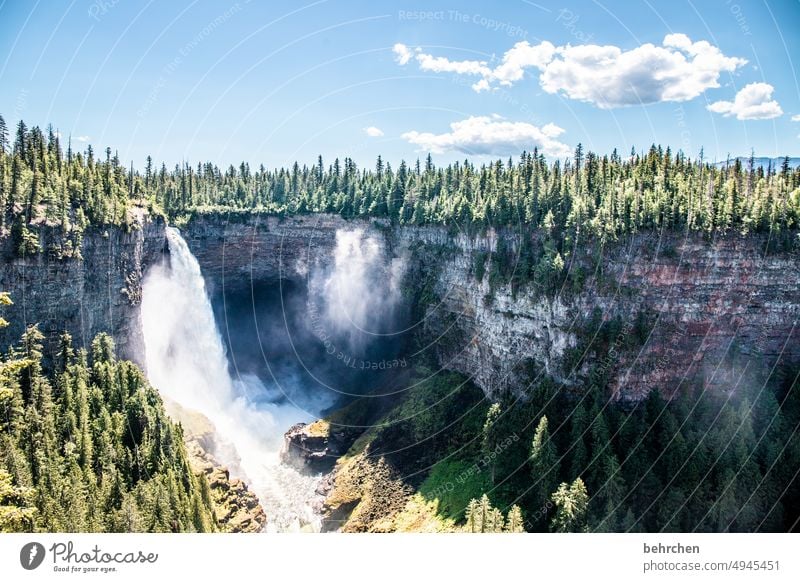 lückenhaft | mit allen wassern gewaschen Flußbett Schlucht Felswand Felsen Wald Himmel Wells Gray Park Wells Gray Provincial Park British Columbia Nordamerika