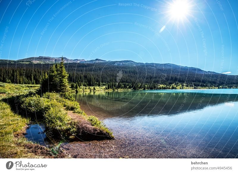 sonnenschein Seeufer Alberta Wasser Himmel Nordamerika Landschaft Kanada Natur Ferne Wald Fernweh Rocky Mountains Ferien & Urlaub & Reisen