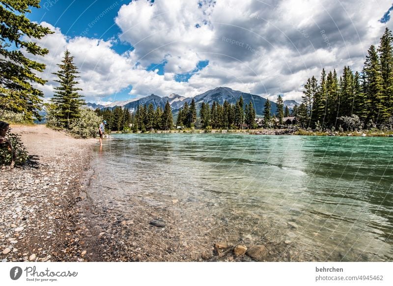 alles ist im fluss Wasser Abenteuer Bäume Wald Ferne Fluss Ferien & Urlaub & Reisen Fernweh Banff National Park Alberta Rocky Mountains Nordamerika canmore