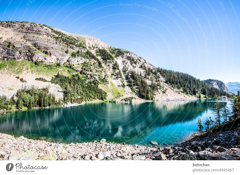 es war einmal in kanada Alberta Landschaft See Berge u. Gebirge Kanada Rocky Mountains Ferne Fernweh Bergsee Banff National Park Einsamkeit friedlich stille