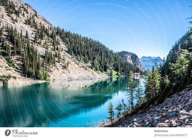 es war einmal in kanada Alberta Landschaft See Berge u. Gebirge Kanada Rocky Mountains Ferne Fernweh Bergsee Banff National Park Einsamkeit friedlich stille