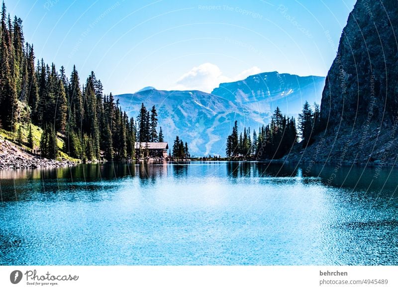 wassergeschichten Hütte Teehaus Wasser Lake Agnes Ausflug Banff National Park Bergsee Felsen Gletschersee beeindruckend Ferne Fernweh besonders