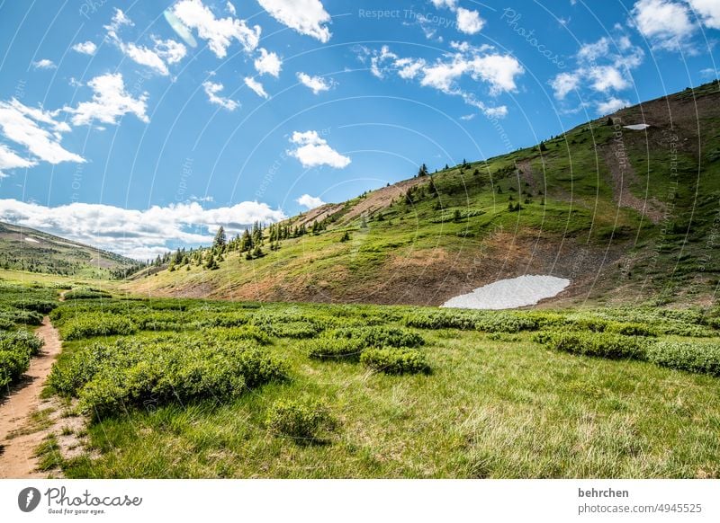 immer wieder kanada Bäume Rocky Mountains Fernweh Wald Ferne Natur Kanada Landschaft Nordamerika weite