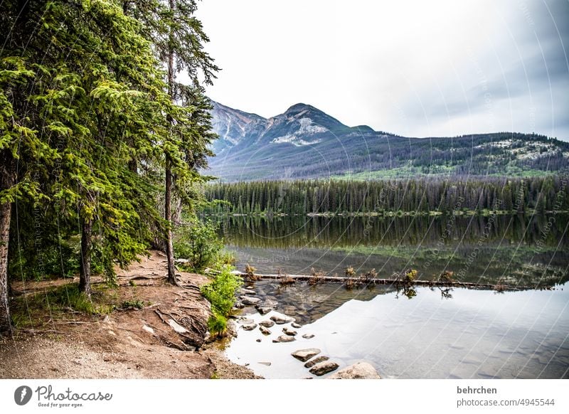 spiegeleigeschichten besonders Fernweh weite Ferne Ferien & Urlaub & Reisen Natur Kanada Berge u. Gebirge Wald Landschaft Rocky Mountains Bergsee