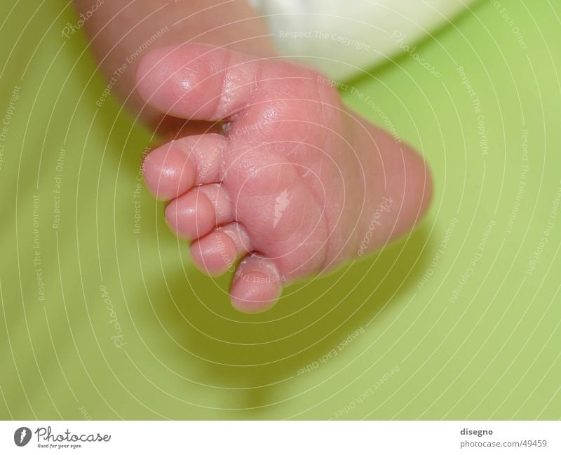 Fuss Baby Zehen Kind gehen Geburt Kleinkind Windeln Fuß dicker otto Beine Körperteile Barfuß