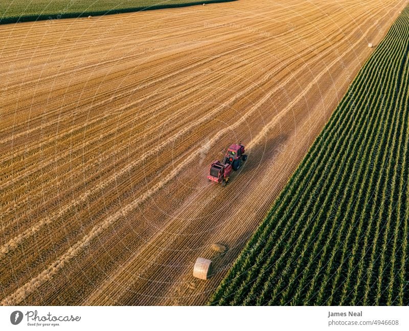 Traktor auf dem Feld Gras landwirtschaftliche Maschinen natürlich Natur Tag Hintergrund rot Ackerbau Mais Pflanze Dröhnen nachhaltige Ressourcen