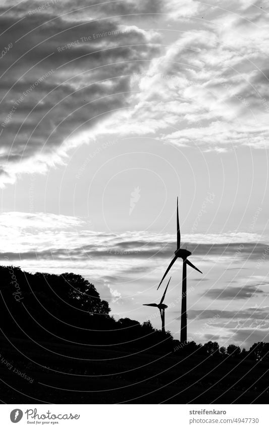 Naturkraft Windenergie Windkraft Windkraftanlage Energie Energiewirtschaft Erneuerbare Energie Windrad umweltfreundlich Elektrizität Umweltschutz ökologisch