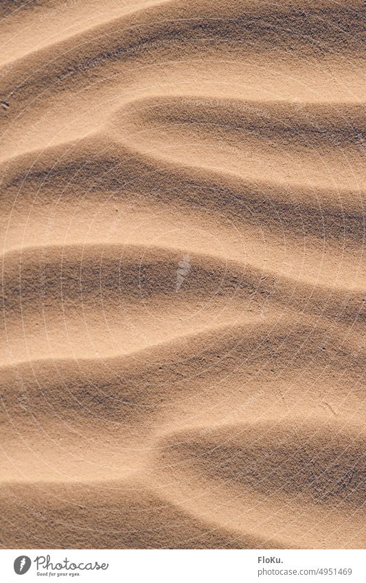 Sandtextur am Strand Textur Hintergrund Sandstrand Strandsand Struktur ANhaufnahme Sandkörner Natur Sommer Küste Außenaufnahme Meer Ferien & Urlaub & Reisen