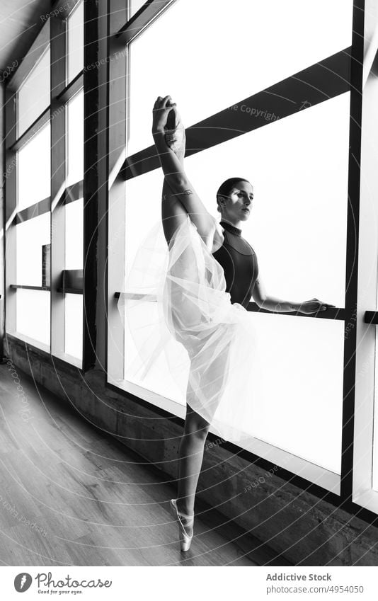 Junge Ballerina posiert an den Spitzen nach Punkten Frau schön schwarz Atelier Tänzer jung Balletttänzer Kunstturnen Künste verrichtend Porträts Schönheit