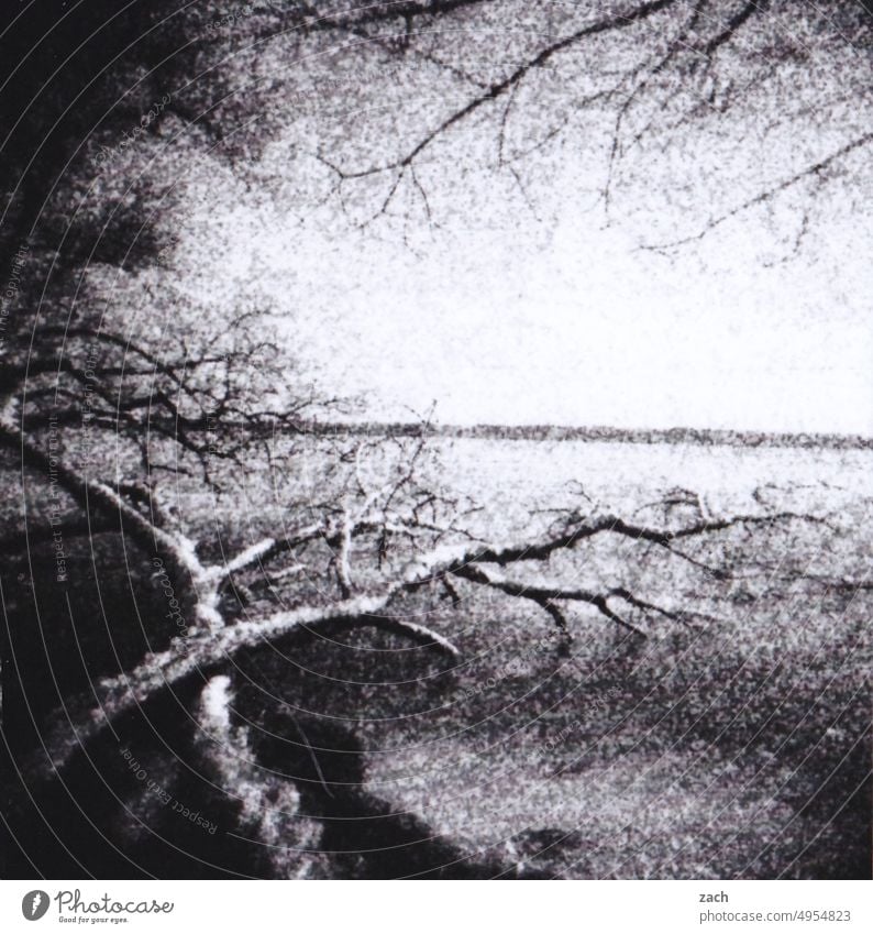 Liegenschaften Außenaufnahme Doppelbelichtung Horizont Ostsee Wasser Schwarzweißfoto schwarzweiß Meer Experiment Lomografie Scan Holga analog Analogfoto