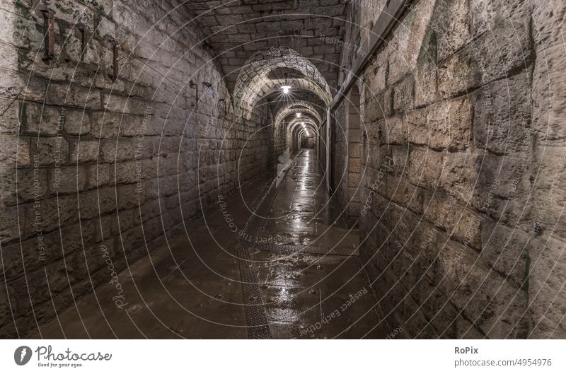 Tunnel in einer historischen Bunkeranlage. Keller Mauer Wand wall Stall Fenster Ruine Sandstein Architektur Land Landleben Nostalgie cellar rural Tradition Wald