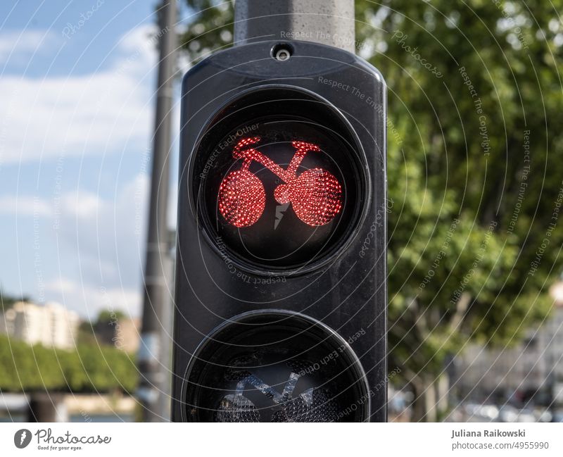 Fahrradampel steht auf rot fahrrad Verkehr Straße Fahrradfahren Verkehrsmittel Straßenverkehr Verkehrswege Mobilität Wege & Pfade Außenaufnahme Fahrradweg
