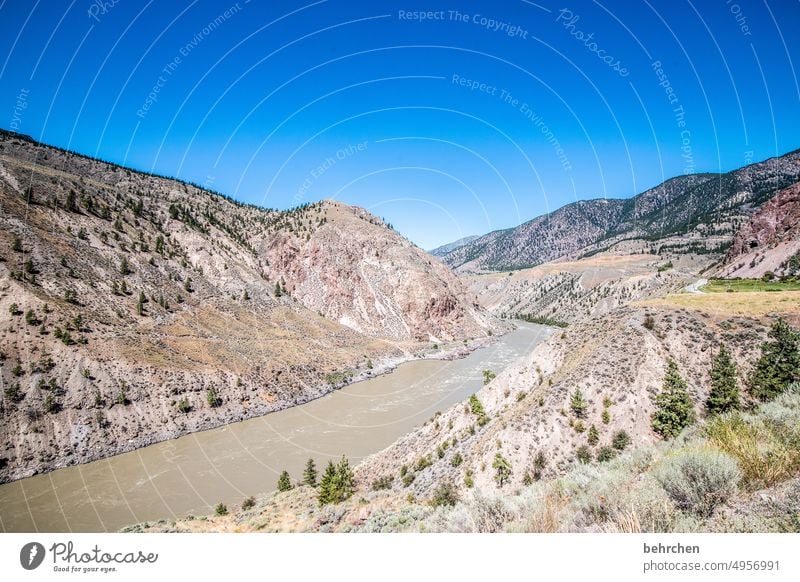 immer wieder kanada Bäume Rocky Mountains Fernweh Wald Ferne Natur Kanada Landschaft Nordamerika weite