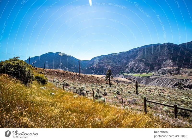 immer wieder kanada Bäume Rocky Mountains Fernweh Wald Ferne Natur Kanada Landschaft Nordamerika weite