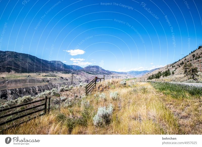 immer wieder kanada Bäume Rocky Mountains Fernweh Wald Ferne Natur Kanada Landschaft Nordamerika weite