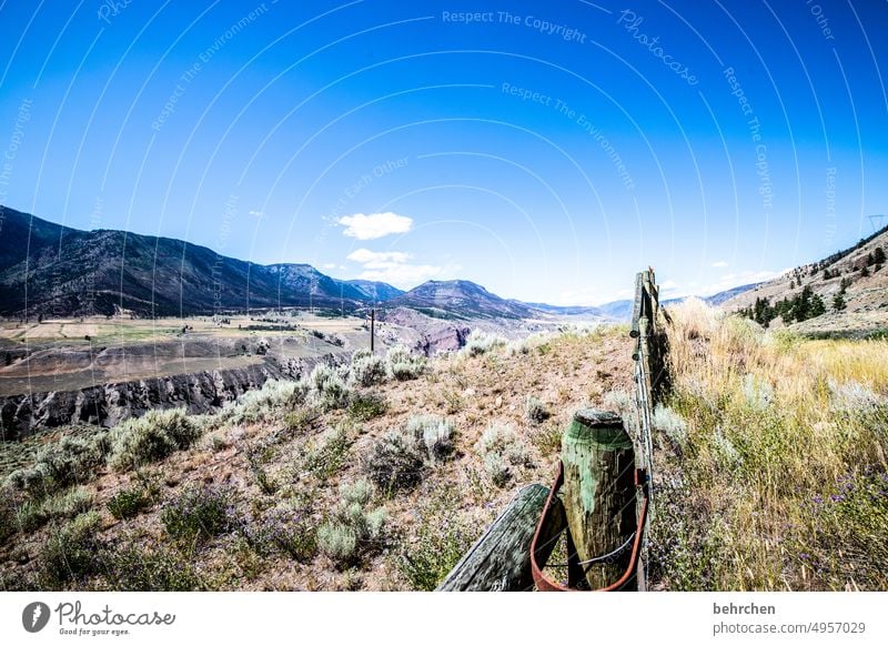 immer wieder kanada Bäume Rocky Mountains Fernweh Wald Ferne Natur Kanada Landschaft Nordamerika weite