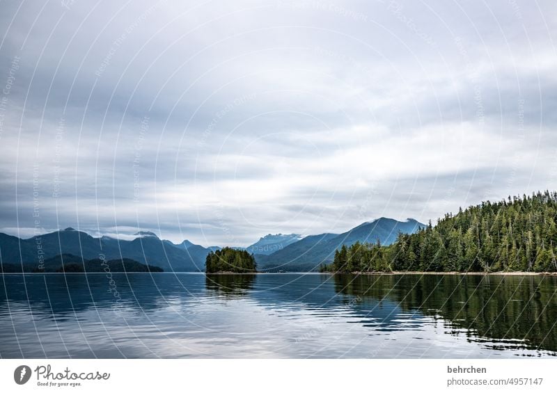 lieblingsorte stille Wolken weite Fernweh Ferne Vancouver Island fantastisch Farbfoto Nordamerika Abenteuer Kanada Wasser British Columbia Landschaft Meer Küste