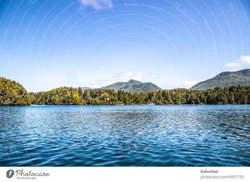 vancouver island Berge u. Gebirge Himmel besonders Natur Küste Meer Landschaft British Columbia Wasser Abenteuer Kanada Nordamerika Farbfoto fantastisch