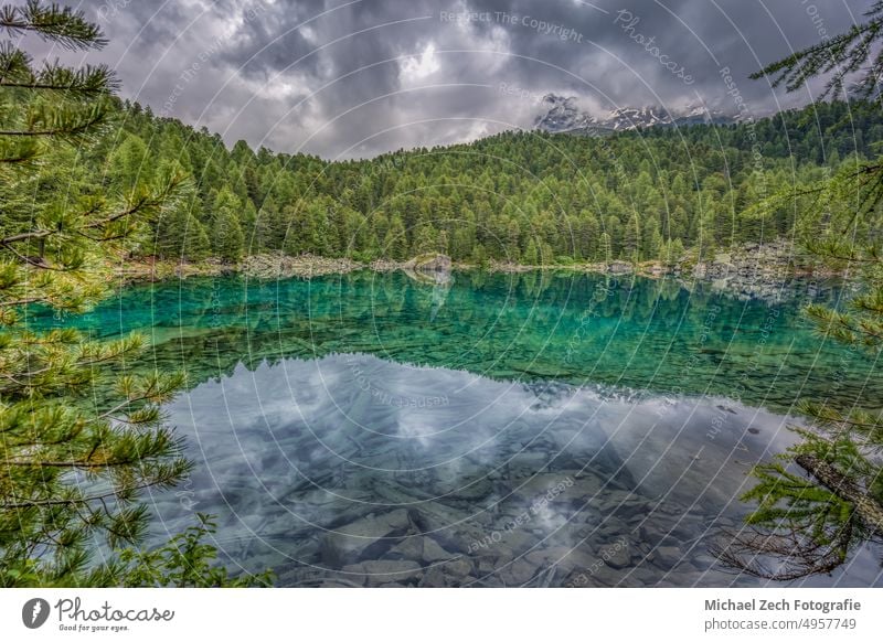 tiefblauer See im Val da Camp bei Poschiavo Landschaft reisen im Freien Natur Val di Campo Park Lärche fallen gelb Alpen Wald farbenfroh Herbst Tal alpin