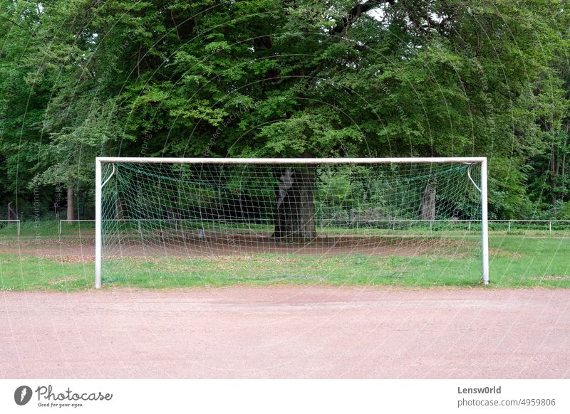 Leeres Fußballtor mit einem Baum im Hintergrund Feld Spiel Tor grün Netz im Freien Park Strafraum Platz spielen Erholung Sport Stadion
