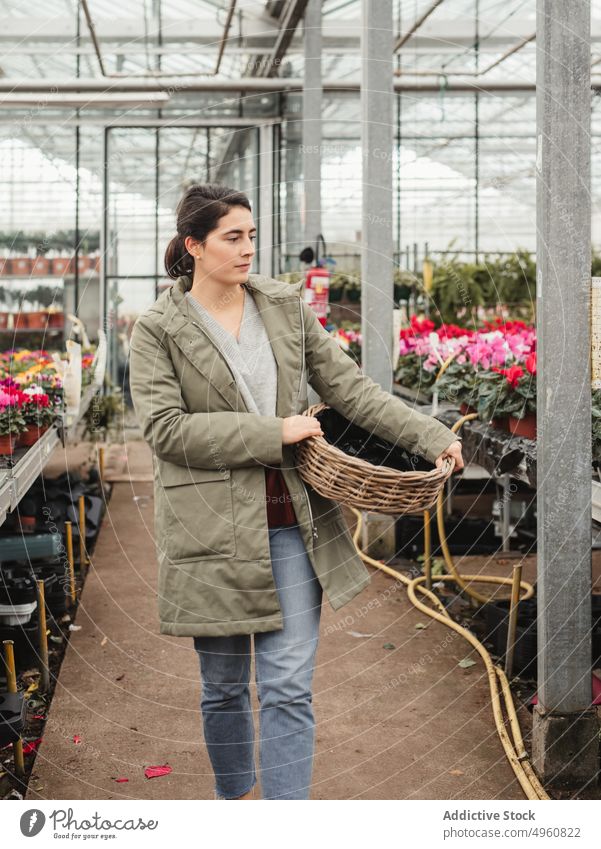 Nachdenkliche erwachsene Frau, die an einem modernen Gewächshaus entlang geht und Topfblumen zum Kauf auswählt Blume Werkstatt wählen Wahl Floristik besinnlich