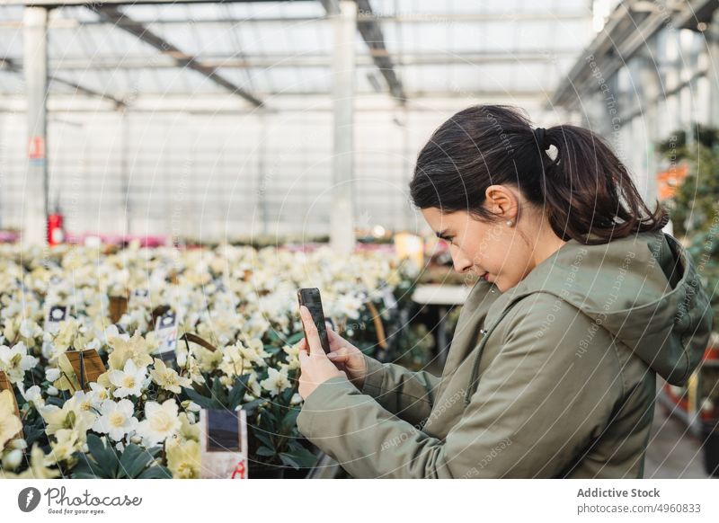 Nachdenkliche erwachsene Frau fotografiert mit Smartphone weiße Topfnarzissen in einem modernen Gewächshausmarkt Fotografie Schießen Blume Windstille Markt