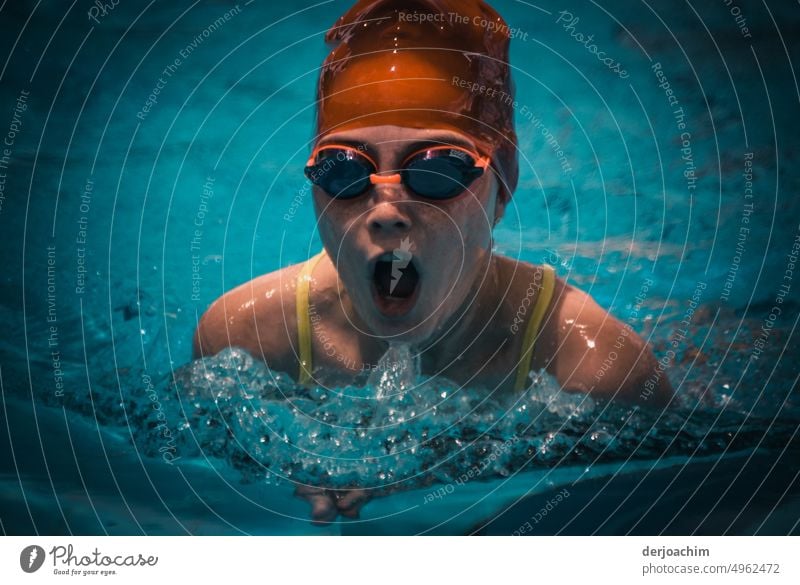 Das Girl holt das letzte aus sich heraus  um mit kräftigen Schwimmzügen im Pool  zum Sieg zu Schwimmen. schwimmen blau Schwimmbad Sommer Schwimmen & Baden