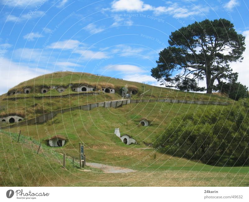 Auenland - die Heimat der Hobbits Neuseeland Der kleine Hobbit Der Herr der Ringe Drehort Filmindustrie Baum Hügel Haus fabel lord of the rings set Landschaft