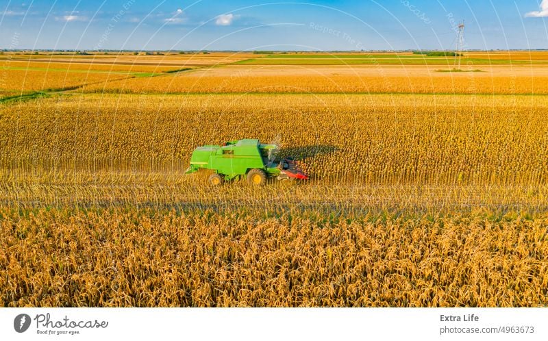 Luftaufnahme von Mähdrescher, Erntemaschine erntet reife Sonnenblume oben Antenne landwirtschaftlich Ackerbau Agronomie Müsli Land kultiviert Bodenbearbeitung