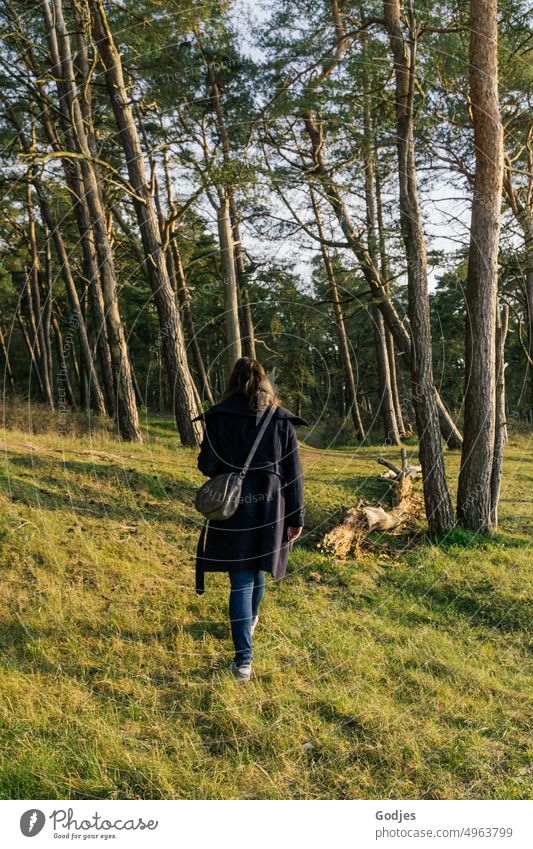 Frau geht über eine Wiese in einen Wald Mantel brünett Bäume Jeans Schatten Licht Baumstamm Natur Umwelt Landschaft Außenaufnahme Farbfoto Holz Pflanze grün