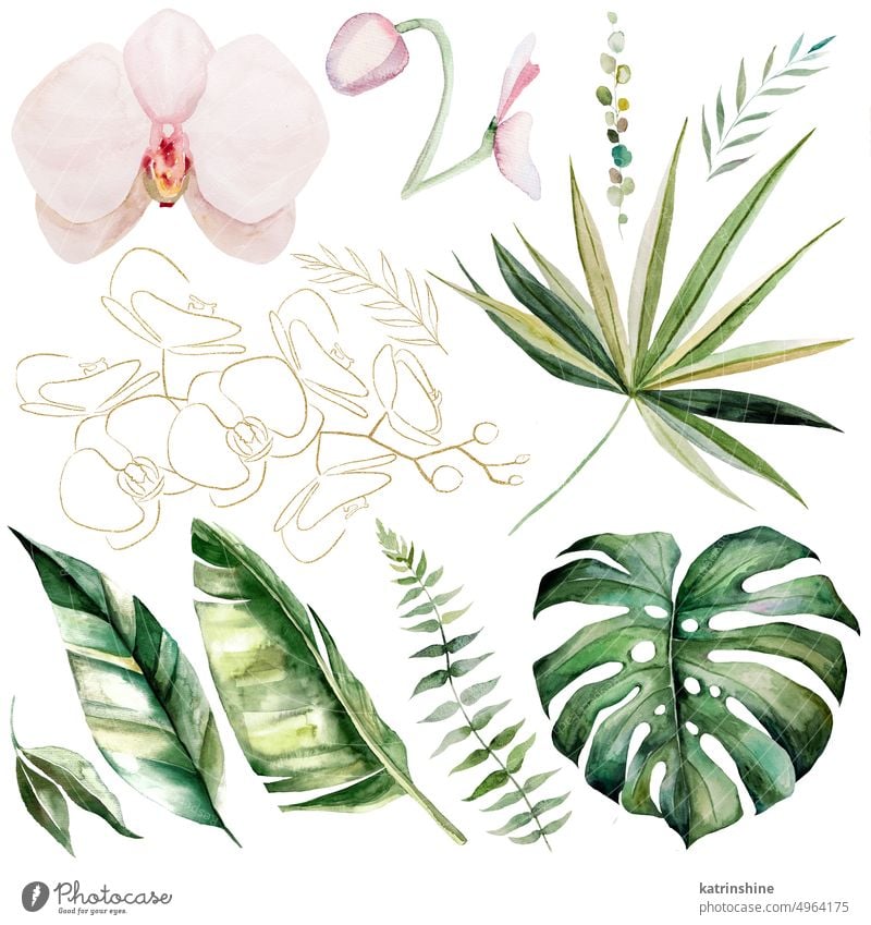 Aquarell tropische Blätter und Blumen isoliert, Sommer Hochzeit Illustration Elemente botanisch Dekoration & Verzierung exotisch Laubwerk handgezeichnet