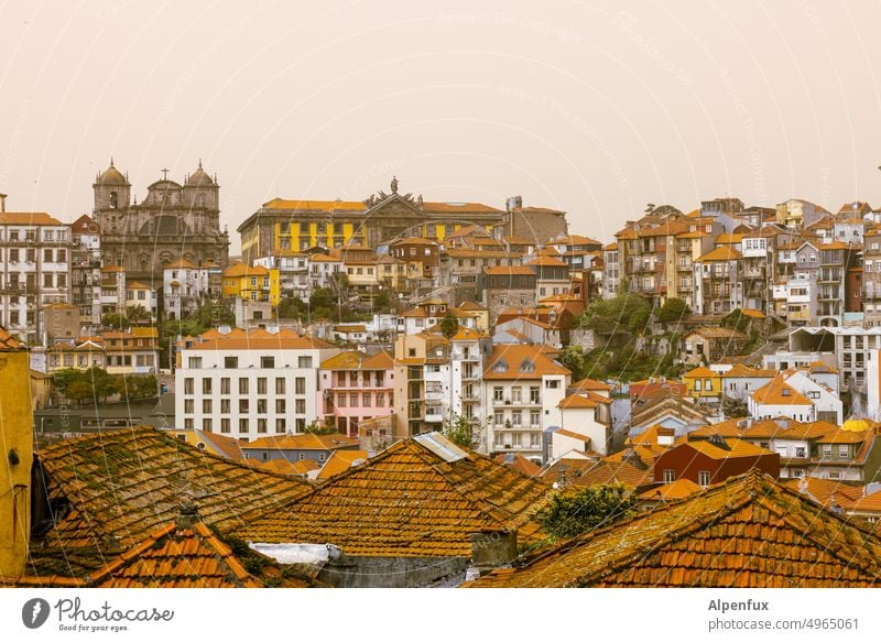Stadtentwicklung | was kommt was bleibt ? Porto Architektur Europa Altstadt Portugal Tourismus historisch urban Großstadt alt Wahrzeichen Europäer Portugiesisch