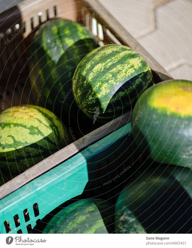 Wassermelonen in Plastikkisten, Bauernmarkt Landwirt Marktästhetik Früchte Verkauf von Wassermelonen Obstverkauf sparsam Lebensmittelgeschäft Lebensmittelmarkt