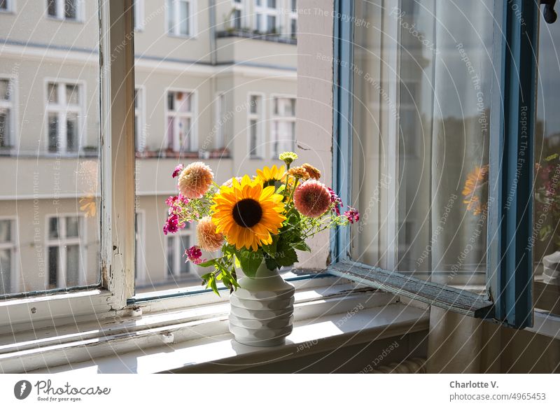 Blumenstrauß mit Sonnenblume auf Fensterbrett Schnittblumen Blüte Dekoration & Verzierung Blühend schön Farbfoto Vase Fensterbank Sommerblumen Sommerstrauß