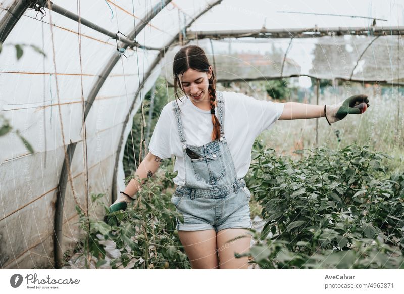 Junge Frau auf Obstgarten Gewächshaus Gemüsebeet spielerisch und glücklich, während sich erinnern. Ländlicher Lebensstil, neue Arbeit, erstes Mal arbeiten. Anbau von Tomaten und Paprika während der Saison. Arbeit insgesamt