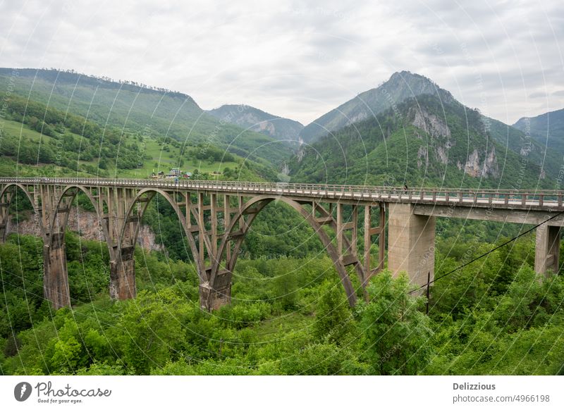 Hochbrücke Montenegro, Mala Rijeka Viadukt Brücke hoch montenegro Fluss Natur Tal Berge malerisch besuchen reisen Tourist Tourismus Hügel Baum Felsen Zug