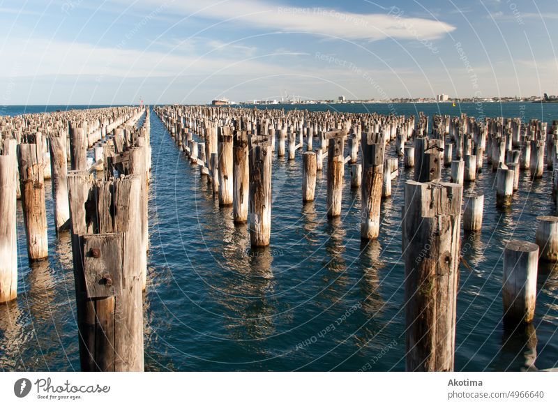 Holzbefästigung am Princes Pier, Melbourne Hafen Meer Holzstreben Holzbefästigungen Blauer Himmel Ruhiges Meer Ruhiges Wasser Natur Urlaub Reisen Australien