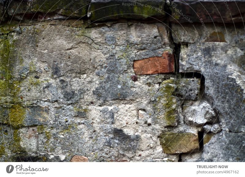 Uralte Mauer mit abgefallenem Putz, brüchigen Ziegelsteinen und einem tiefen Riss Mauerwerk marode abgebröckelt schmutzig Patina Verfall Vergänglichkeit