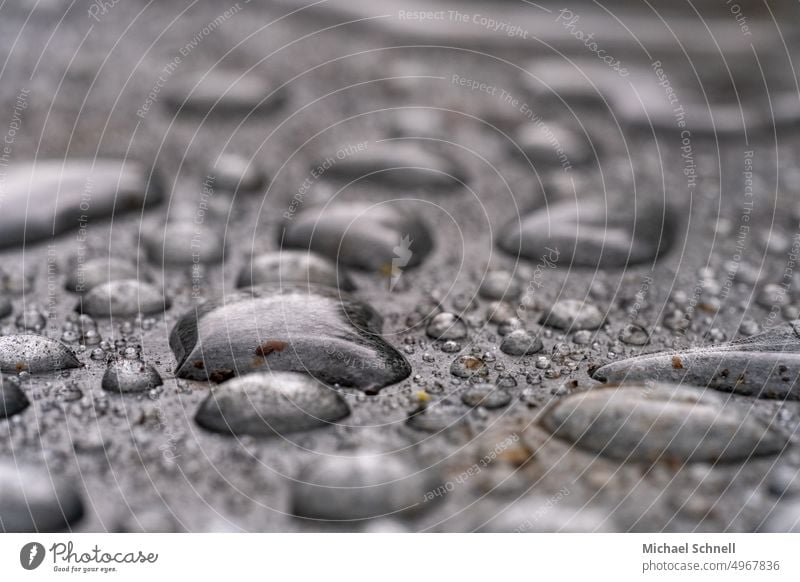 Alles nass! Regentropfen Wassertropfen Tropfen schlechtes Wetter Nahaufnahme Herbst grau feucht Reflexion & Spiegelung Regenwetter Makroaufnahme