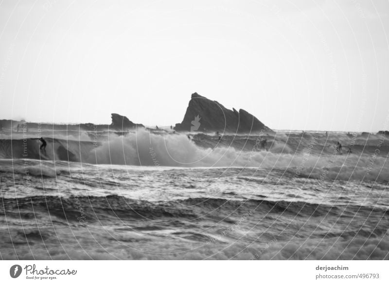 Im aufgepeitschten Meer sind Surfer unterwegs. Im Hintergrund ist ein Felsen im Wasser.Wave Surfer Freude sportlich Sinnesorgane Schwimmen & Baden
