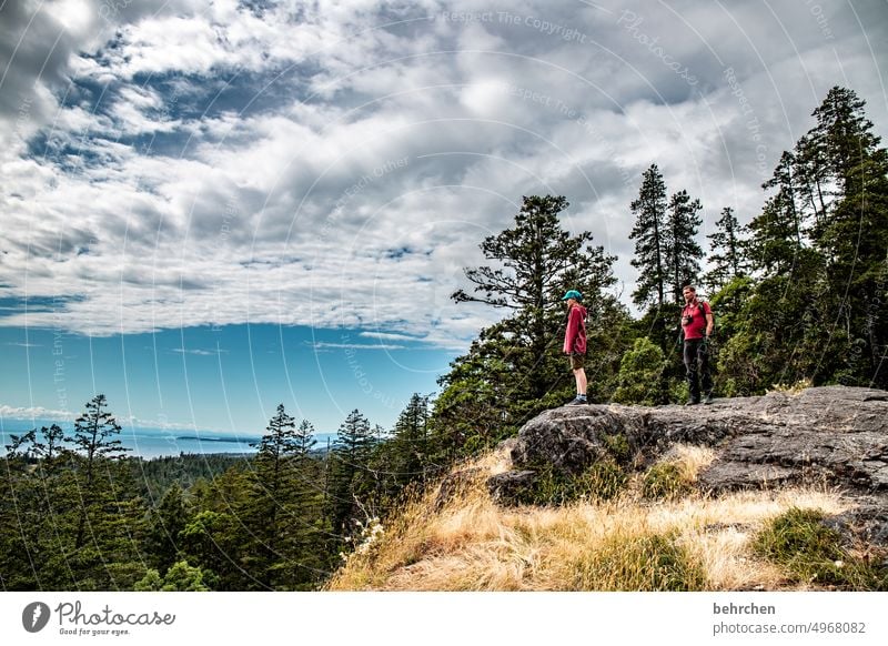 immer wieder kanada Bäume Rocky Mountains Fernweh Wald Ferne Natur Kanada Landschaft Nordamerika weite