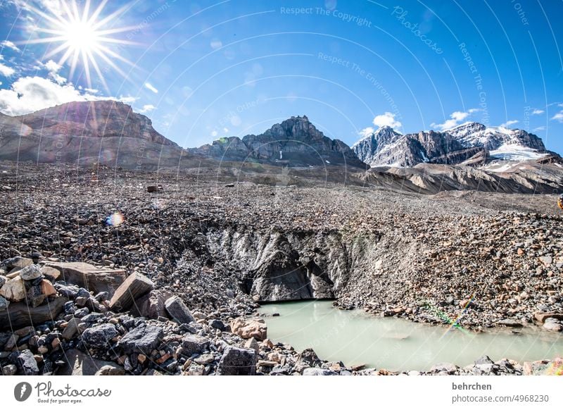 sonnenschein Alberta Himmel Nordamerika Landschaft Kanada Natur Ferne Wald Fernweh Rocky Mountains Ferien & Urlaub & Reisen Schnee Icefield Parkway Sonne