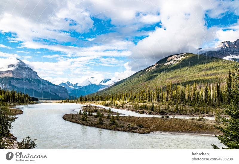 immer wieder kanada Natur Kanada Alberta Nordamerika Gletscher