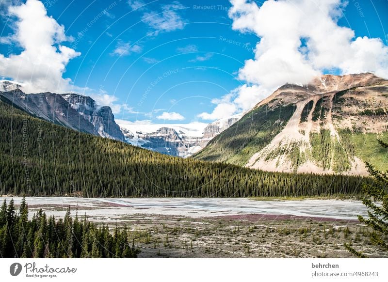 immer wieder kanada Natur Kanada Alberta Nordamerika Gletscher