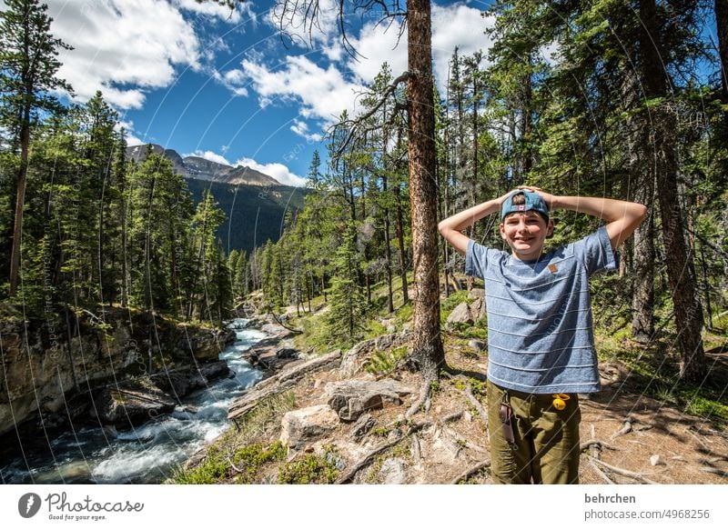 es war einmal in kanada Bäume Abenteuer British Columbia Fernweh Landschaft Wald Kanada Natur Nordamerika Kind Kindheit Junge glücklich