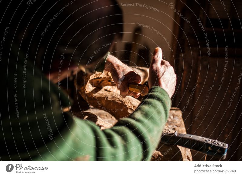 Schreiner bei der Arbeit mit Holz Zimmerer Hände Hammer Hohlmeißel Werkstatt älter knittern Gerät Werkzeug Industrie Handwerk Tischlerin Beitel männlich Senior