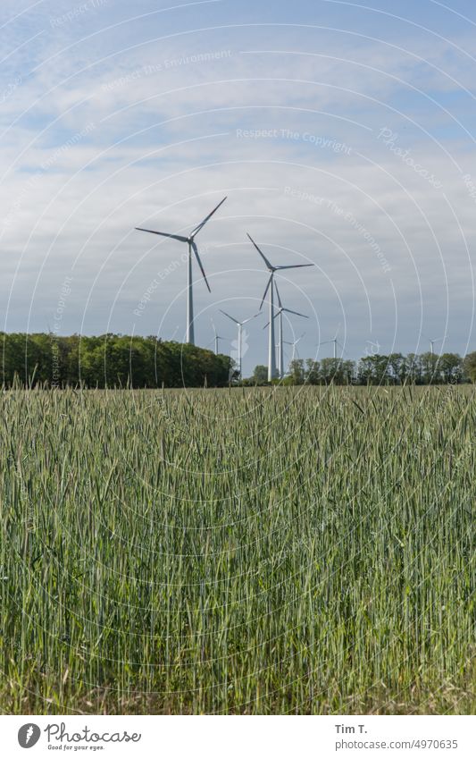 ein Feld im Hintergrund ein Windpark Brandenburg Windkraftanlage Himmel Wolken Außenaufnahme Natur Energiewirtschaft Landschaft Farbfoto Tag Erneuerbare Energie